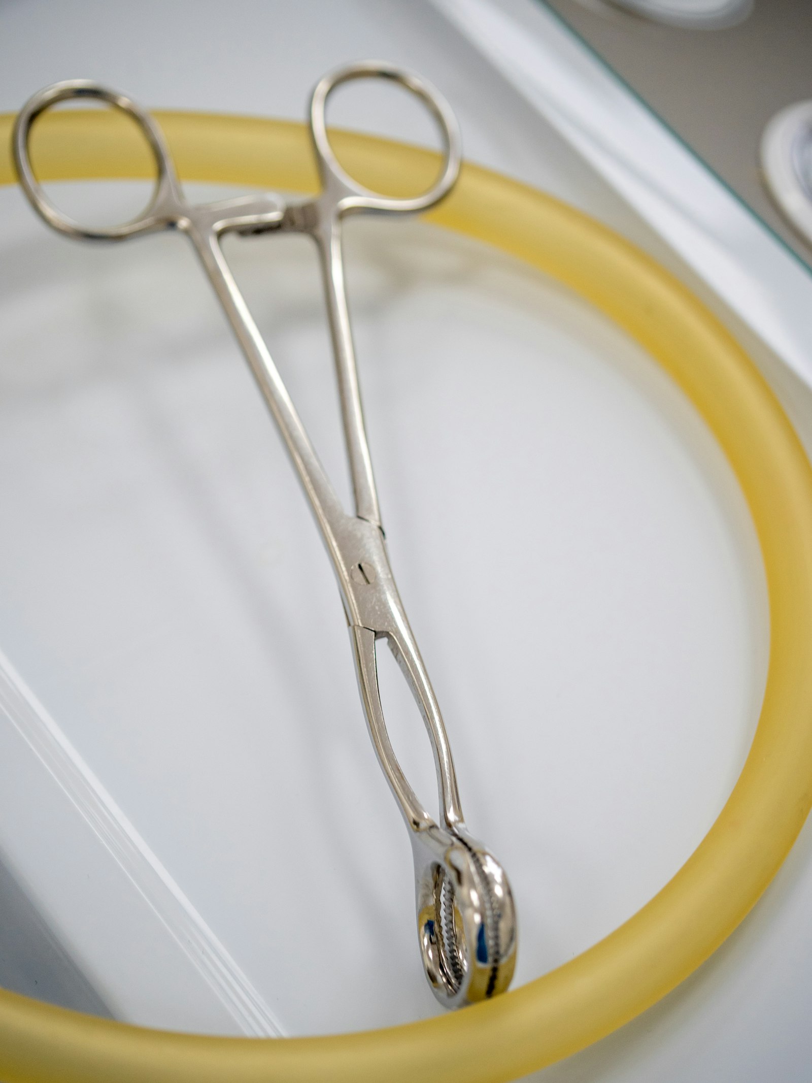 Suite privada con instrumentos de precisión esterilizados